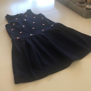 J Crew dress with beaded bodice and pleated skirt